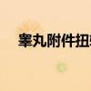 睾丸附件扭转（关于睾丸附件扭转介绍）