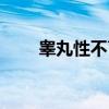 睾丸性不育（关于睾丸性不育介绍）