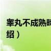 睾丸不成熟畸胎瘤（关于睾丸不成熟畸胎瘤介绍）