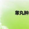 睾丸肿胀（关于睾丸肿胀介绍）