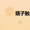 瞎子触象（关于瞎子触象介绍）