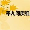睾丸间质细胞（关于睾丸间质细胞介绍）