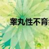 睾丸性不育症（关于睾丸性不育症介绍）