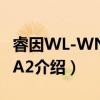 睿因WL-WN566A2（关于睿因WL-WN566A2介绍）