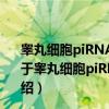 睾丸细胞piRNA对NRDR基因表达及维甲酸水平的调控（关于睾丸细胞piRNA对NRDR基因表达及维甲酸水平的调控介绍）