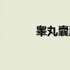 睾丸囊肿（关于睾丸囊肿介绍）