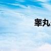 睾丸炎（关于睾丸炎介绍）
