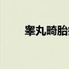 睾丸畸胎瘤（关于睾丸畸胎瘤介绍）