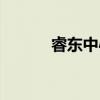 睿东中心（关于睿东中心介绍）