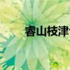 睿山枝津也（关于睿山枝津也介绍）