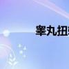 睾丸扭转（关于睾丸扭转介绍）