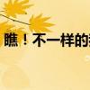 瞧！不一样的我（关于瞧！不一样的我介绍）