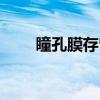 瞳孔膜存留（关于瞳孔膜存留介绍）