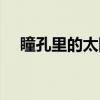 瞳孔里的太阳（关于瞳孔里的太阳介绍）