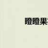 瞪瞪果实（关于瞪瞪果实介绍）