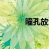 瞳孔放大（关于瞳孔放大介绍）