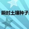 瞬时土壤种子库（关于瞬时土壤种子库介绍）
