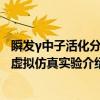 瞬发γ中子活化分析虚拟仿真实验（关于瞬发γ中子活化分析虚拟仿真实验介绍）