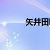 矢井田瞳（关于矢井田瞳介绍）