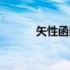 矢性函数（关于矢性函数介绍）