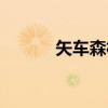 矢车森林（关于矢车森林介绍）