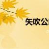 矢吹公郎（关于矢吹公郎介绍）