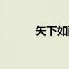 矢下如雨（关于矢下如雨介绍）