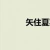矢住夏菜(关于矢住夏菜介绍) 矢住夏菜(关于矢住夏菜介绍)