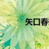 矢口春雄（关于矢口春雄介绍）