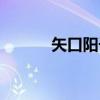 矢口阳子（关于矢口阳子介绍）