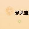 矛头宝螺（关于矛头宝螺介绍）