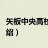 矢板中央高校U18（关于矢板中央高校U18介绍）