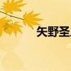 矢野圣人（关于矢野圣人介绍）