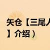 矢仓【三尾人柱力】（关于矢仓【三尾人柱力】介绍）