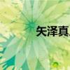 矢泽真人（关于矢泽真人介绍）