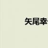 矢尾幸子（关于矢尾幸子介绍）