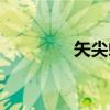 矢尖蚧（关于矢尖蚧介绍）