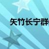 矢竹长宁群体（关于矢竹长宁群体介绍）