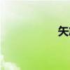 矢旝（关于矢旝介绍）