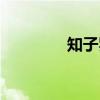 知子罗(关于知子罗介绍) 知子罗(关于知子罗介绍)