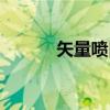 矢量喷口（关于矢量喷口介绍）