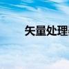 矢量处理器（关于矢量处理器介绍）