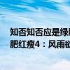 知否知否应是绿肥红瘦4：风雨欲来（关于知否知否应是绿肥红瘦4：风雨欲来介绍）