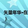 矢量年华·在别处（关于矢量年华·在别处介绍）