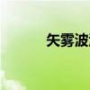 矢雾波江（关于矢雾波江介绍）