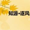 知源·逐风者(关于知源·逐风者介绍) 知源·逐风者(关于知源·逐风者介绍)