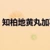 知柏地黄丸加减（关于知柏地黄丸加减介绍）