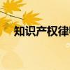 知识产权律师（关于知识产权律师介绍）