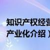 知识产权经营与产业化（关于知识产权经营与产业化介绍）