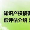 知识产权损害赔偿评估（关于知识产权损害赔偿评估介绍）